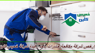 Photo of شركة مكافحة حشرات باحد رفيدة