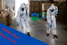 Photo of شركة مكافحة حشرات ببيشة |0558232663 ارخص الاسعار مع الضمان
