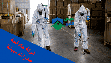 Photo of شركة مكافحة حشرات ببيشة |0558232663 ارخص الاسعار مع الضمان